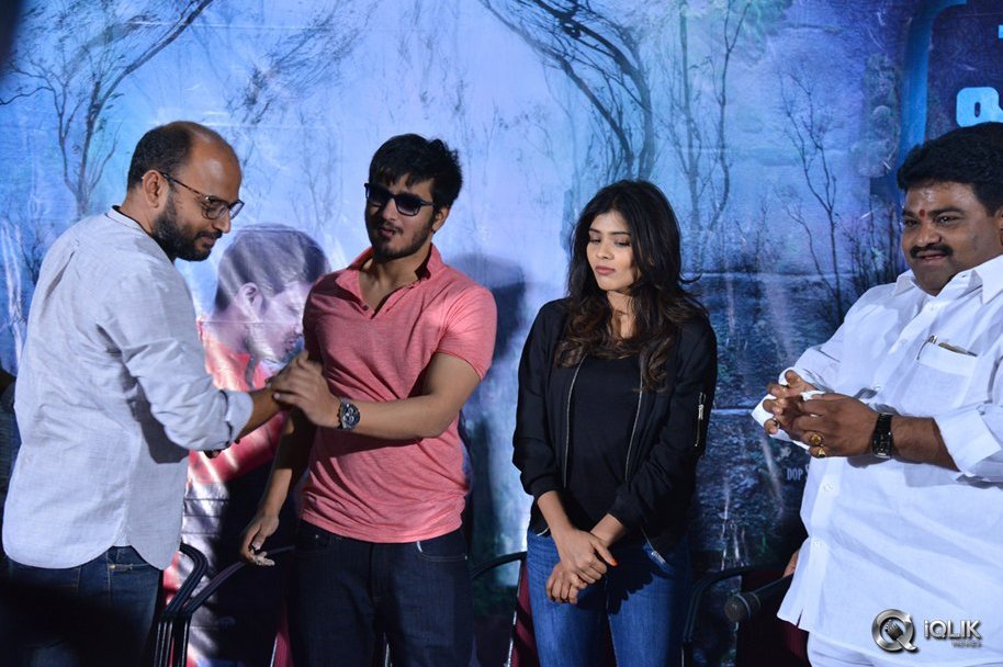 Ekkadiki-Pothavu-Chinnavada-Movie-Thanks-Meet